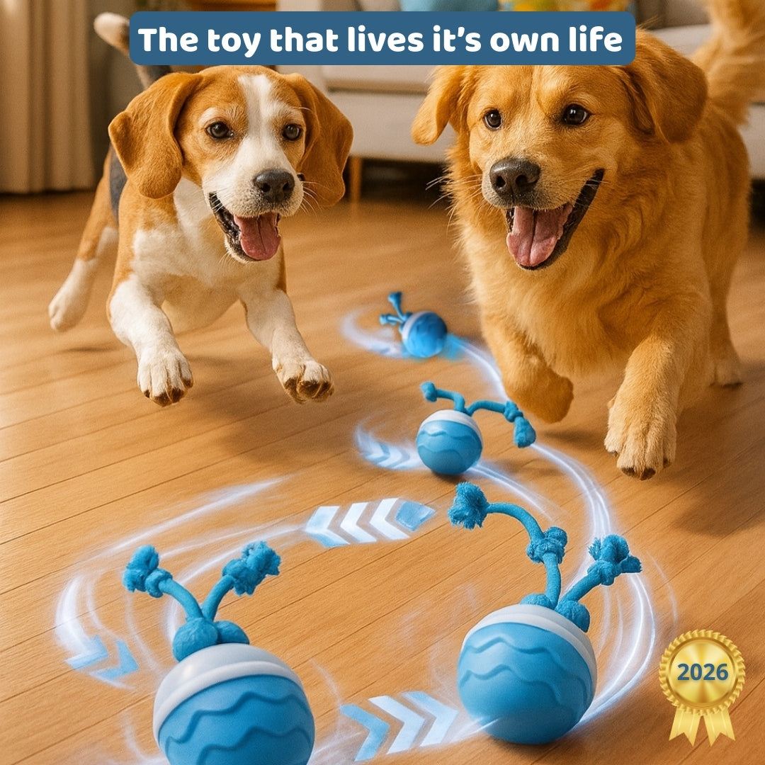 ActiveOrb™
